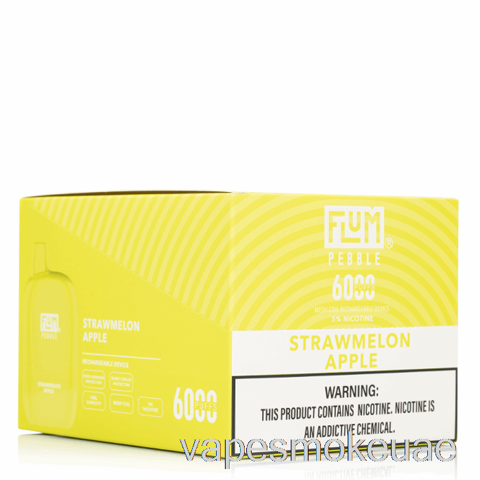 فيب الإمارات العربية المتحدة [10 عبوات] فلوم بيبل 6000 للاستعمال مرة واحدة